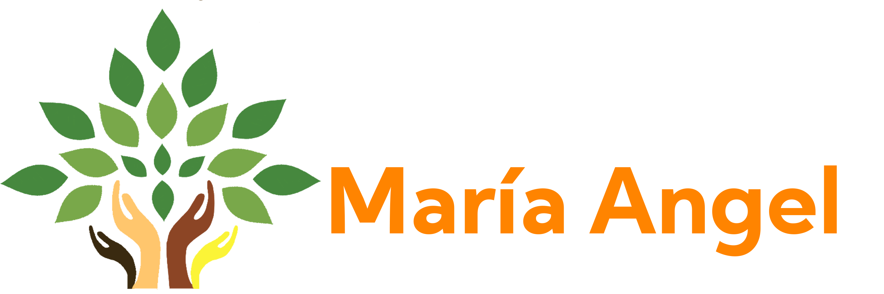 Fundación